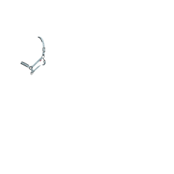 Halster LeMieux Logo Halster LeMieux Logo