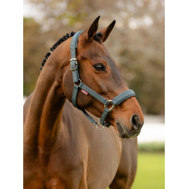 Halster LeMieux softshell Halster LeMieux softshell