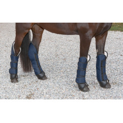 Transportbeschermers Dexter Covalliero donkerblauw