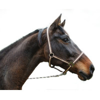 Halster Hippo Covalliero Bruin / beige Halster Hippo Covalliero Bruin / beige