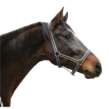 Halster Hippo Covalliero Zwart / zilver