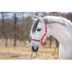 Halster Hippo Covalliero Roze / bruin