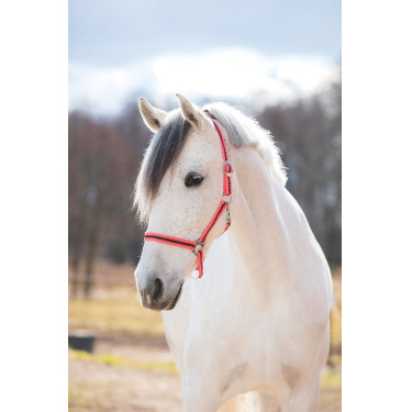 Halster Hippo Covalliero Roze / bruin