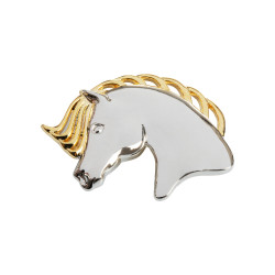 Paardenthoofdbroche Umbria Equitazione