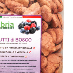 Crunchies voor paarden met bessen 930g Umbria Equitazione Crunchies voor paarden met bessen 930g Umbria Equitazione