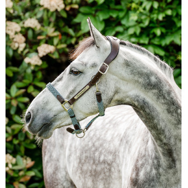 Gevlochten Horseware Signature halster Bruin / marine / nevelblauw Multicolor