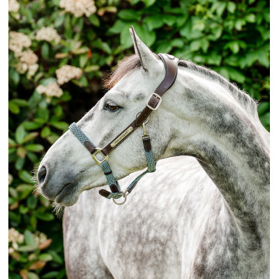 Licol Horseware tressé Signature Marron / marine / brume bleu