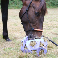 Speelbal / hooirol Kentucky Grijs Speelbal / hooirol Kentucky Grijs