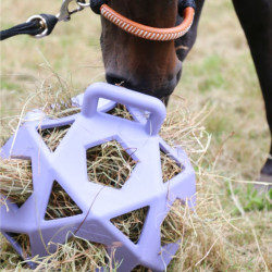 Speelbal / hooirol Kentucky Lavendel Violet Speelbal / hooirol Kentucky Lavendel Violet