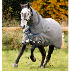 Horseware Rhino Hexstop Plus Vari-Layer Turnout 250g Deken Grijs / indigo