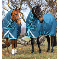 Horseware Amigo AmEco 12 Plus 250g deken Donkerblauw / hemelsblauw / donkerblauw Horseware Amigo AmEco 12 Plus 250g deken Donkerblauw / hemelsblauw / donkerblauw