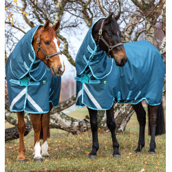 Horseware Amigo AmEco 12 Plus 250g deken Donkerblauw / hemelsblauw / donkerblauw Horseware Amigo AmEco 12 Plus 250g deken Donkerblauw / hemelsblauw / donkerblauw
