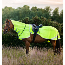 Uitrijdeken Horseware anti-vliegen Fluo Amigo Flyrider 0g Fluogeel Uitrijdeken Horseware anti-vliegen Fluo Amigo Flyrider 0g Fluogeel