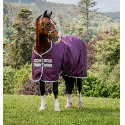 Horseware Amigo Hero Ripstop 200g deken Horseware Amigo Hero Ripstop 200g deken