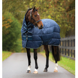 Horseware Amigo Insulator Plus 350g deken met halsstuk Horseware Amigo Insulator Plus 350g deken met halsstuk