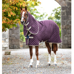 Paardendeken Horseware Amigo Plus Disc 200g Paardendeken Horseware Amigo Plus Disc 200g