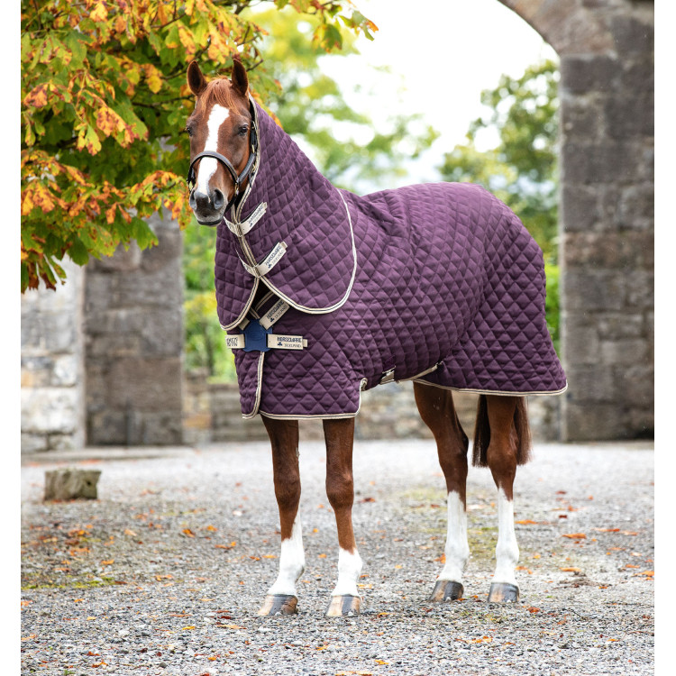 Paardendeken Horseware Amigo Plus Disc 200g Paardendeken Horseware Amigo Plus Disc 200g