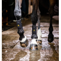 Gamaschen Horseware Adagio Zwart / geel Gamaschen Horseware Adagio Zwart / geel