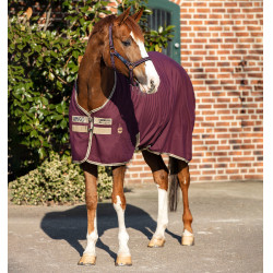Boxdeken Horseware Amigo Delphinium 0g Vijg / marineblauw Violet