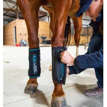 Massagegamaschen Horseware Ice-Vibe Massagegamaschen Horseware Ice-Vibe