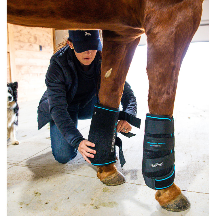 Massagegamaschen Horseware Ice-Vibe Massagegamaschen Horseware Ice-Vibe