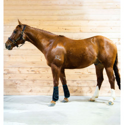 Massagegamaschen Horseware Ice-Vibe Massagegamaschen Horseware Ice-Vibe
