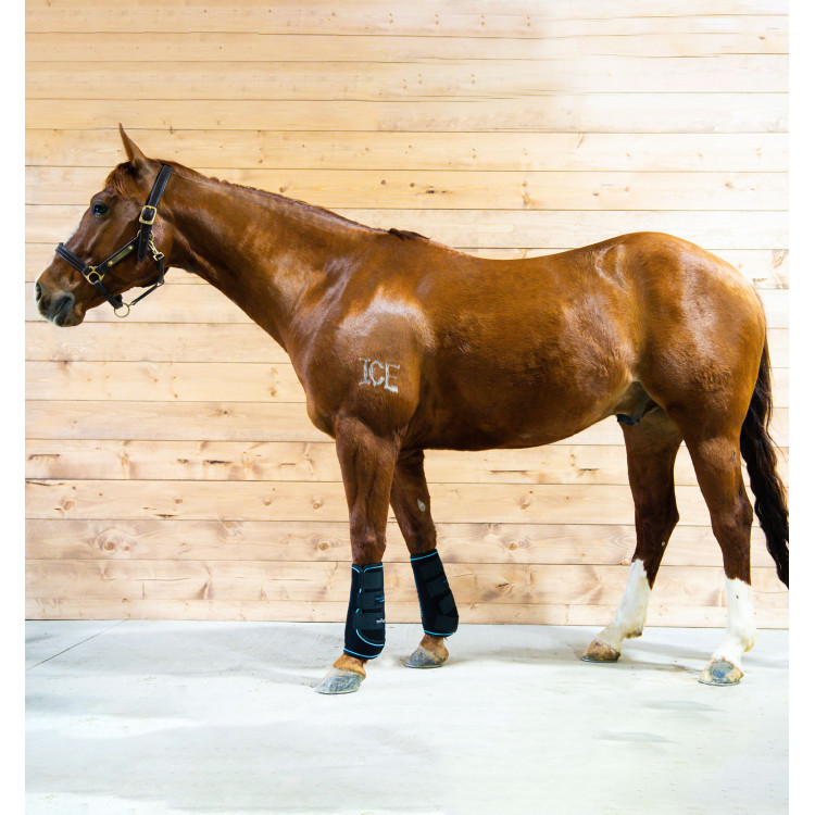 Massagegamaschen Horseware Ice-Vibe Massagegamaschen Horseware Ice-Vibe