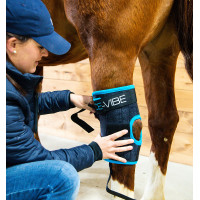 Beschermers Horseware Ice-Vibe Zwart / aqua blauw