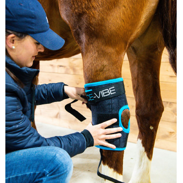 Beschermers Horseware Ice-Vibe Beschermers Horseware Ice-Vibe
