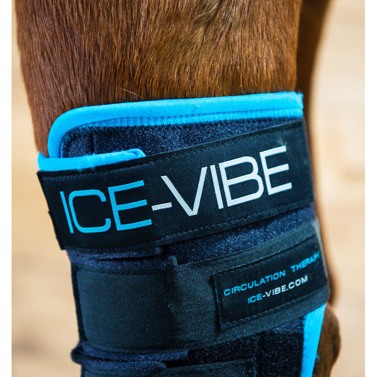 Beschermers Horseware Ice-Vibe Beschermers Horseware Ice-Vibe