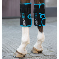 Ice-Vibe Kniebeschermers Horseware Zwart / aqua Ice-Vibe Kniebeschermers Horseware Zwart / aqua