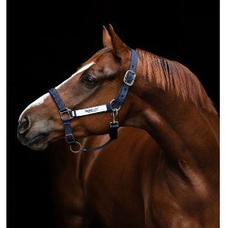 Veiligheidshalster Horseware Field Safe Veiligheidshalster Horseware Field Safe