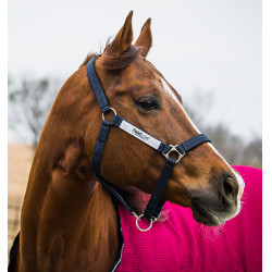 Veiligheidshalster Horseware Field Safe Veiligheidshalster Horseware Field Safe