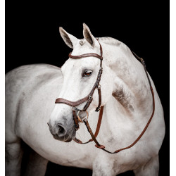 Bridon Horseware Micklem 2 Competitie Rambo Donker Havana Bruin