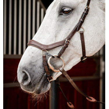 Bridon Horseware Micklem 2 Competitie Rambo Bridon Horseware Micklem 2 Competitie Rambo