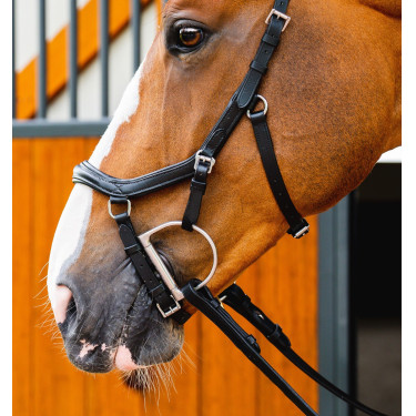Bridon Horseware Micklem 2 Deluxe Wedstrijd Zwart Bridon Horseware Micklem 2 Deluxe Wedstrijd Zwart