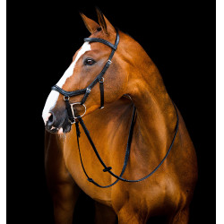 Bridon Horseware Micklem 2 Deluxe Competition rubberen teugels Zwart Bridon Horseware Micklem 2 Deluxe Competition rubberen teugels Zwart