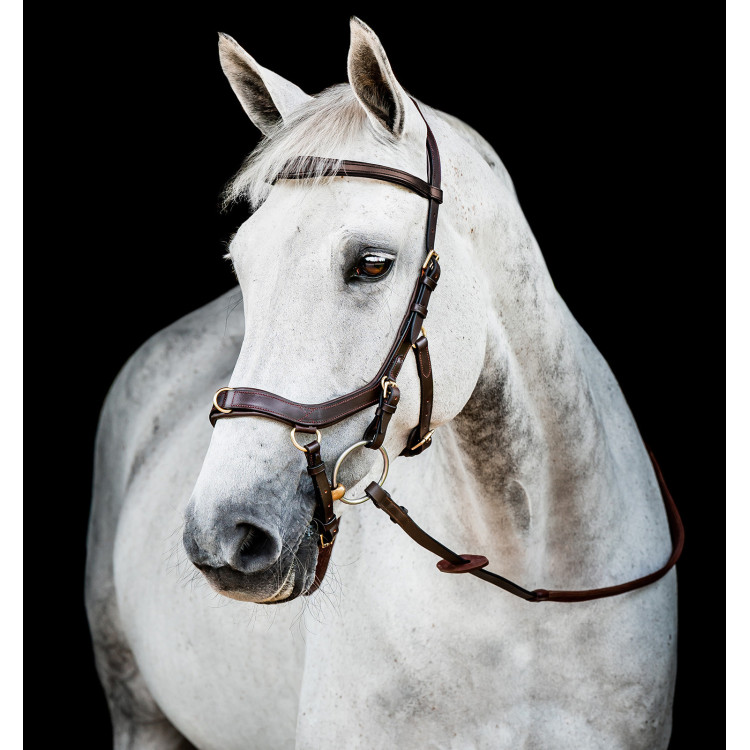 Bridon Horseware Micklem 2 Multi Bridon Horseware Micklem 2 Multi