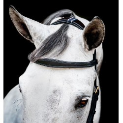 Bridon Horseware Micklem 2 Multi Zwart