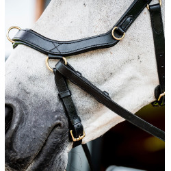 Bridon Horseware Micklem 2 Multi Zwart