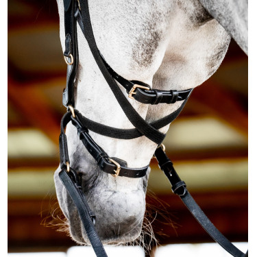 Bridon Horseware Micklem 2 Multi Zwart
