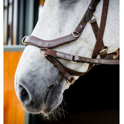 Bridon Horseware Micklem 2 Multi Donker Havana Bruin Bridon Horseware Micklem 2 Multi Donker Havana Bruin