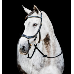 Bridon Horseware Micklem 2 Multi Zwart Bridon Horseware Micklem 2 Multi Zwart