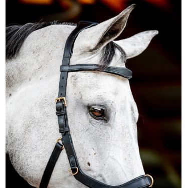 Bridon Horseware Micklem 2 Multi Zwart Bridon Horseware Micklem 2 Multi Zwart