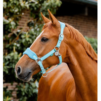 Halster Horseware voor verzorging Signature Marine Marineblauw Halster Horseware voor verzorging Signature Marine Marineblauw