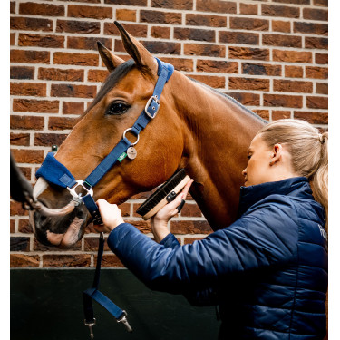Halster Horseware voor verzorging Signature Halster Horseware voor verzorging Signature