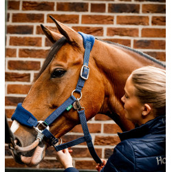 Halster Horseware voor verzorging Signature Halster Horseware voor verzorging Signature