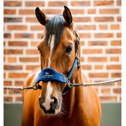 Halster Horseware voor verzorging Signature Halster Horseware voor verzorging Signature