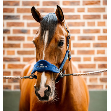 Halster Horseware voor verzorging Signature Halster Horseware voor verzorging Signature
