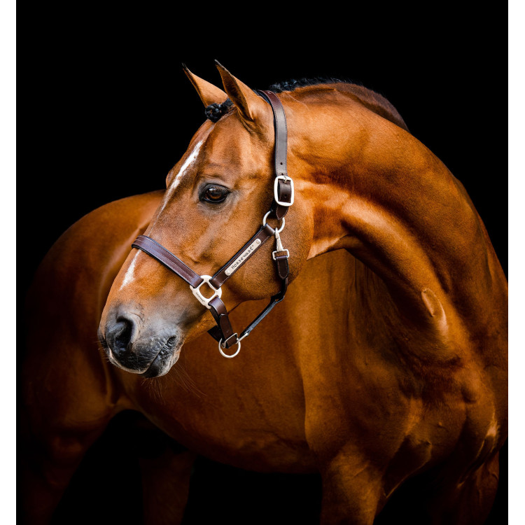 Lederen halster Horseware Signature